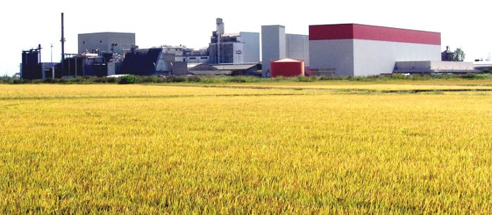 Campo e Stabilimento - Image